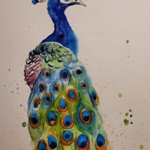 Görkemli Tavus - Renkli Tavus Kuşu Suluboya Tablo