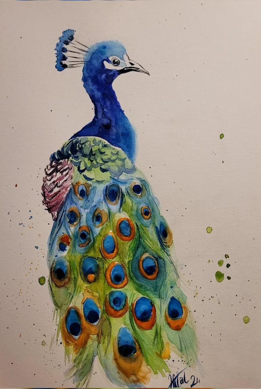 Görkemli Tavus - Renkli Tavus Kuşu Suluboya Tablo